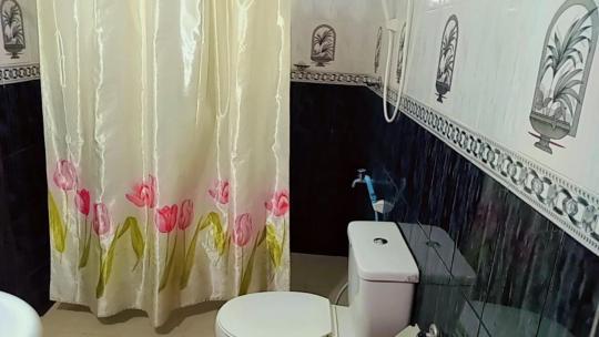 Green Garden Homestay Giritale Quarto foto